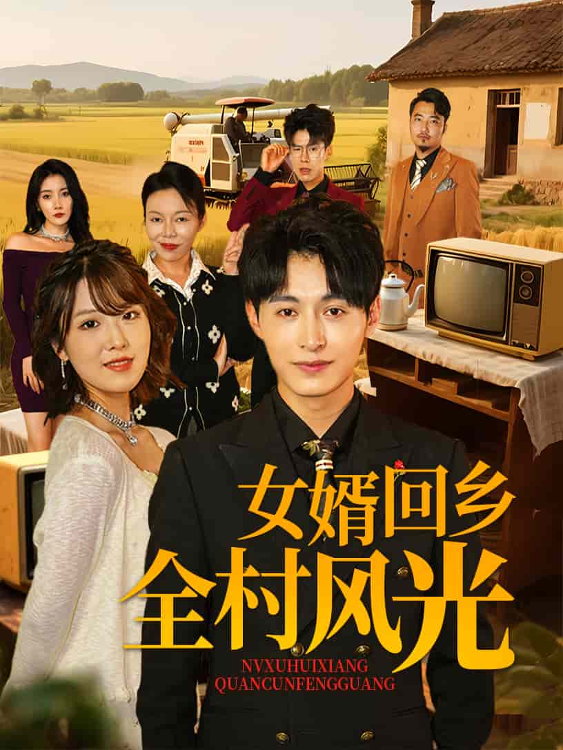 女婿回乡全村风光