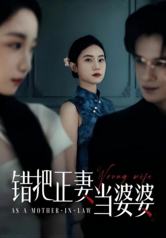 错把正妻当婆婆