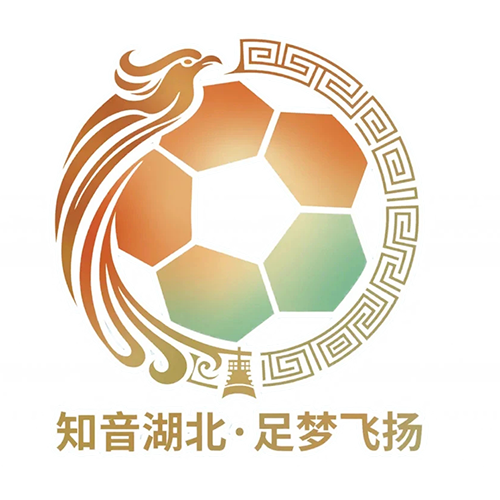 湖北省城市足球联赛 孝感孝傲江湖队VS咸宁外星人队20260927