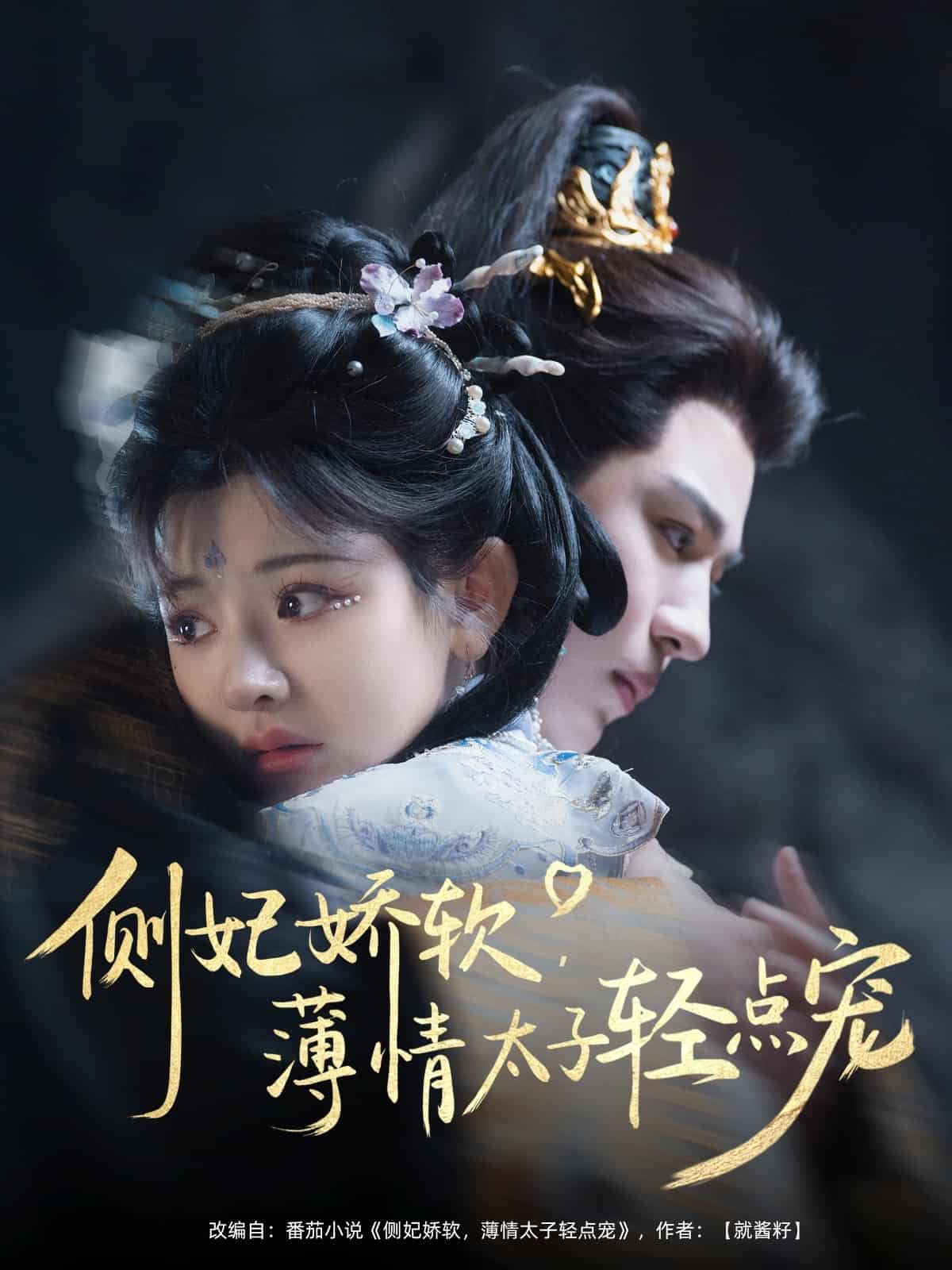 侧妃娇软薄情太子轻点宠